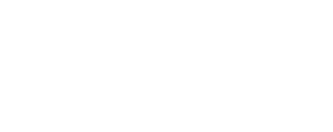 iData